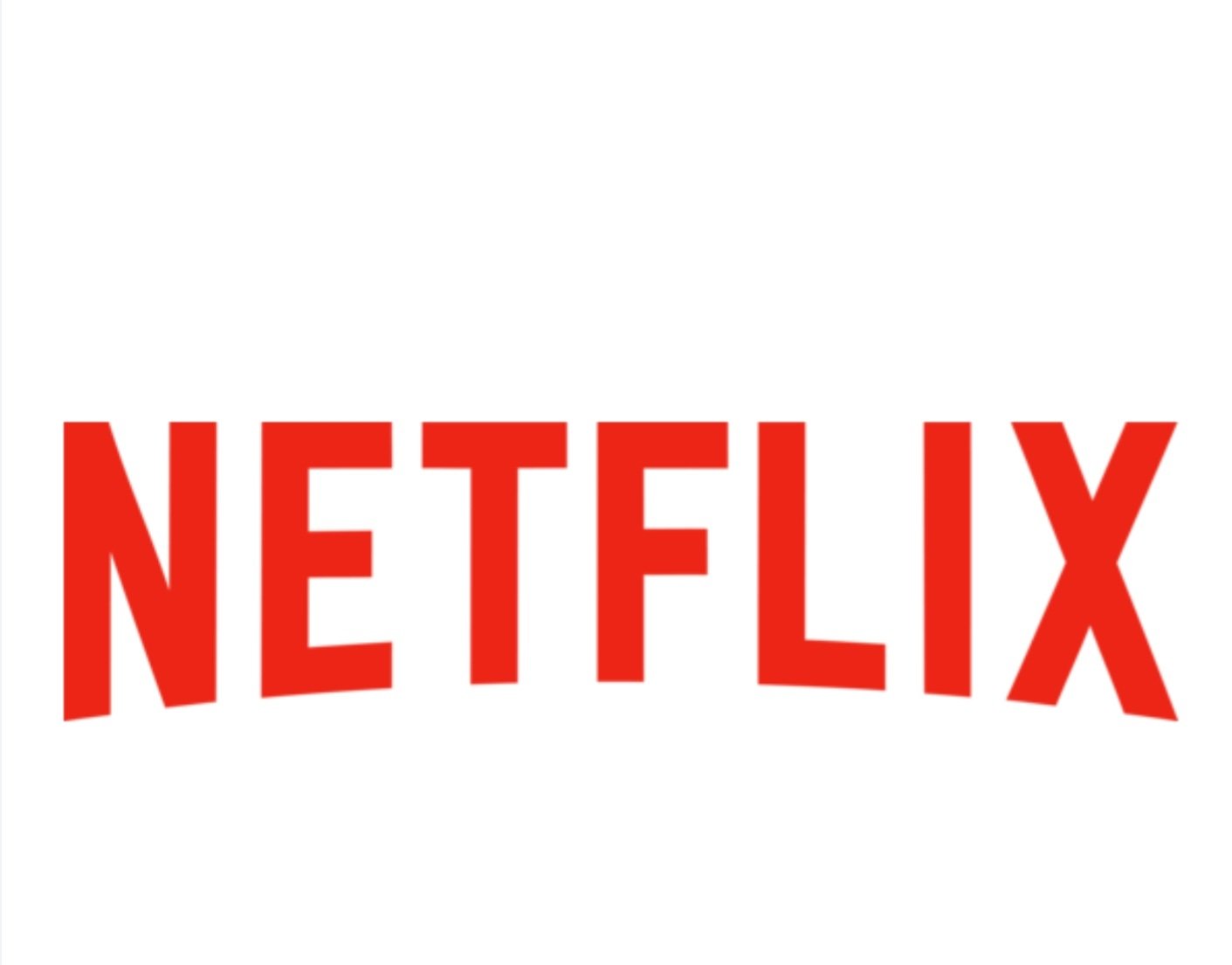 NETFLIX 1 USER 1 MONTH